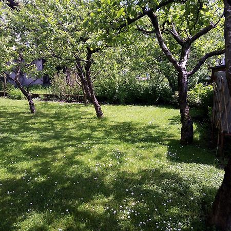 Apartma Rutar Tolmin Bagian luar foto