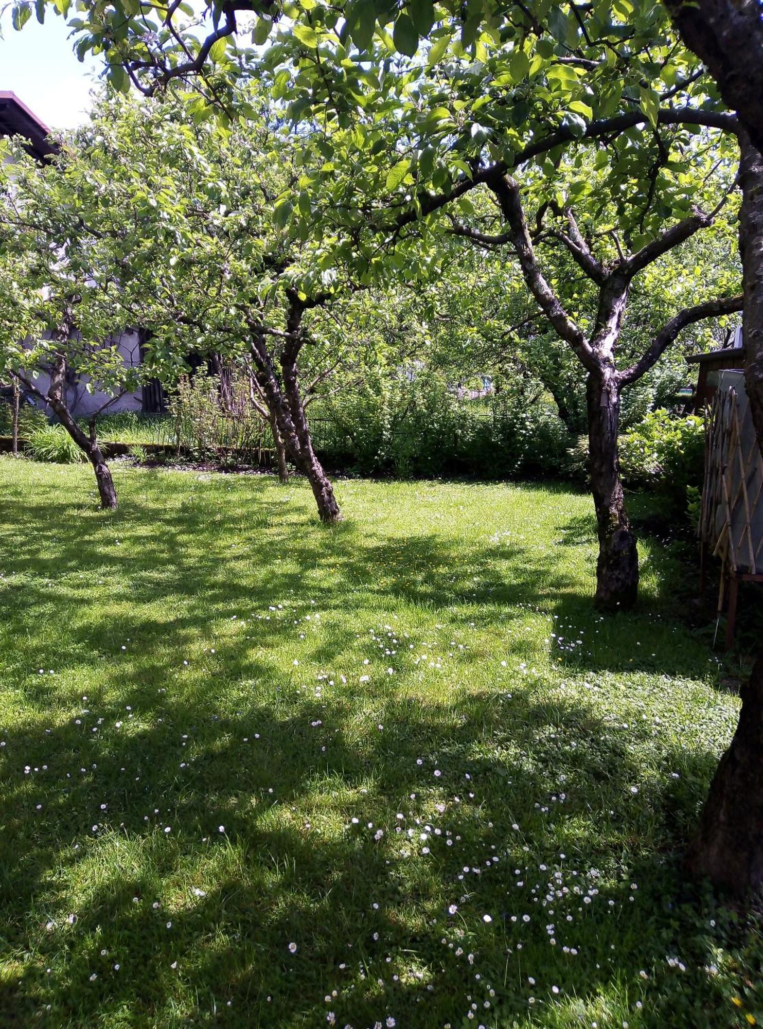 Apartma Rutar Tolmin Bagian luar foto